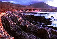 Montana de Oro - Late in the Day