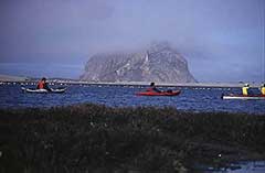 Nature Corp Morro Bay